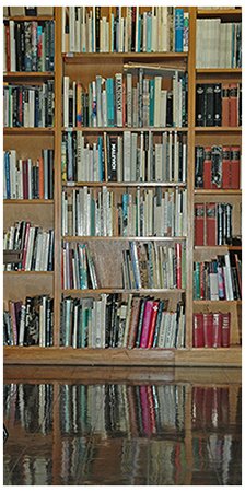 Photo of some of the Reading Room bookshelves