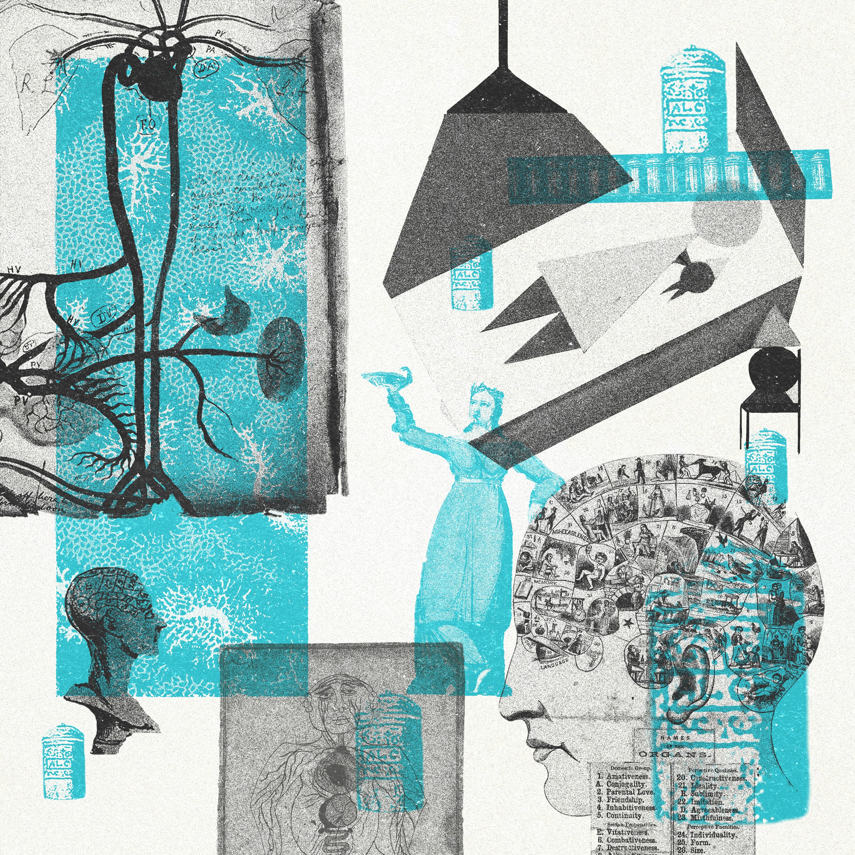 Health, Medicine and Wellbeing