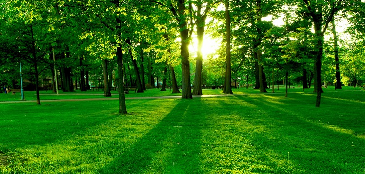 Spring Registration Dates