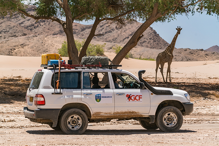 Picture of a jeep in Africa