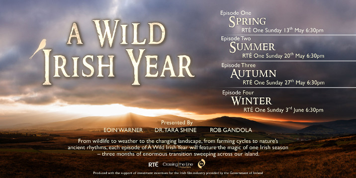 A wild Irish year programme details
