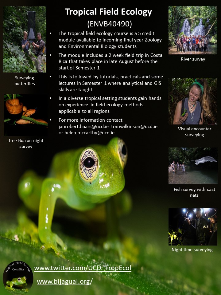 Various photos and details of the Costa Rica fieldtrip