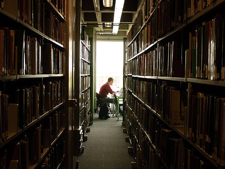 Student studying in library