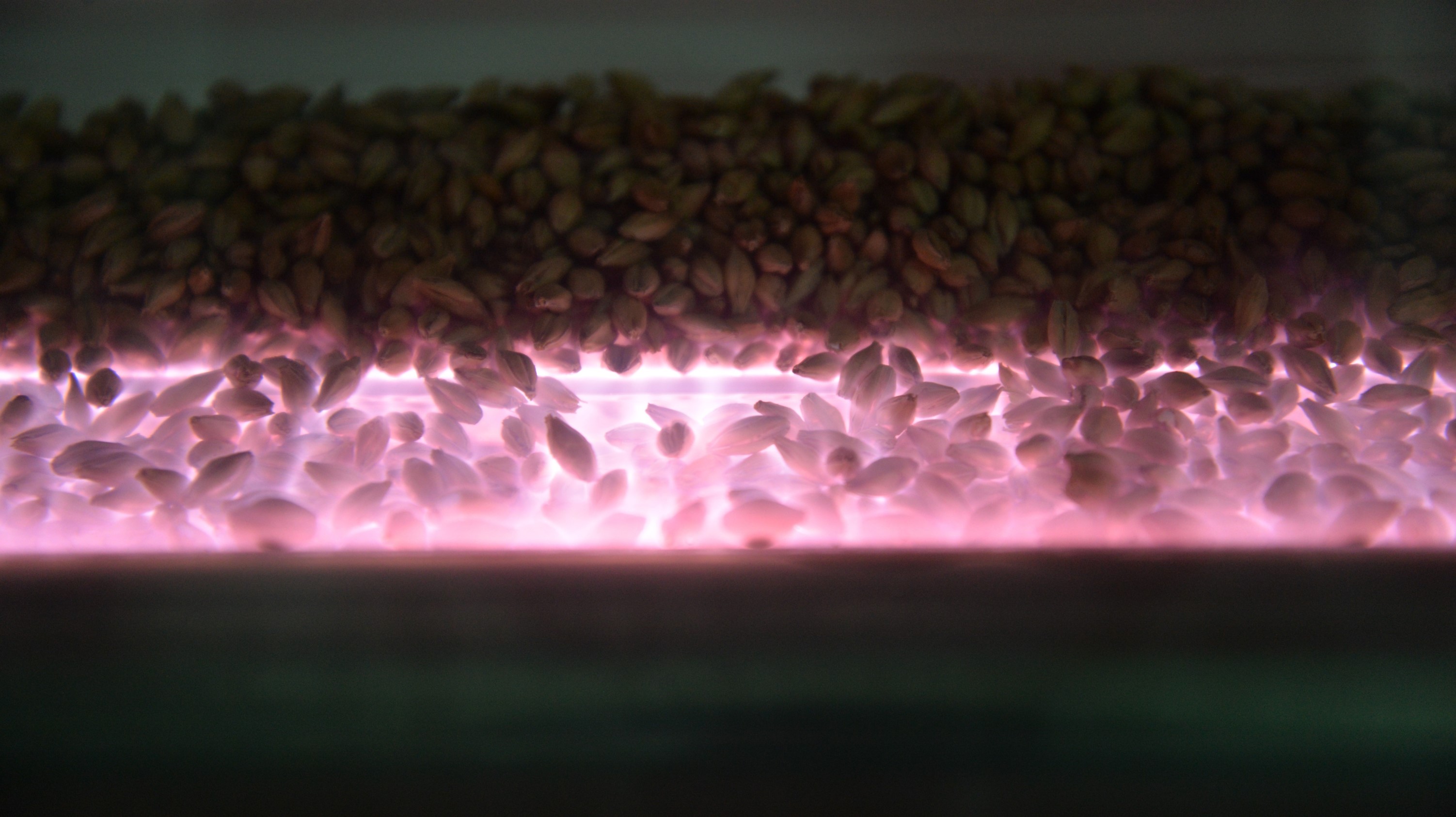 Cold plasma processes are also being developed for use with foods such as grains and seed