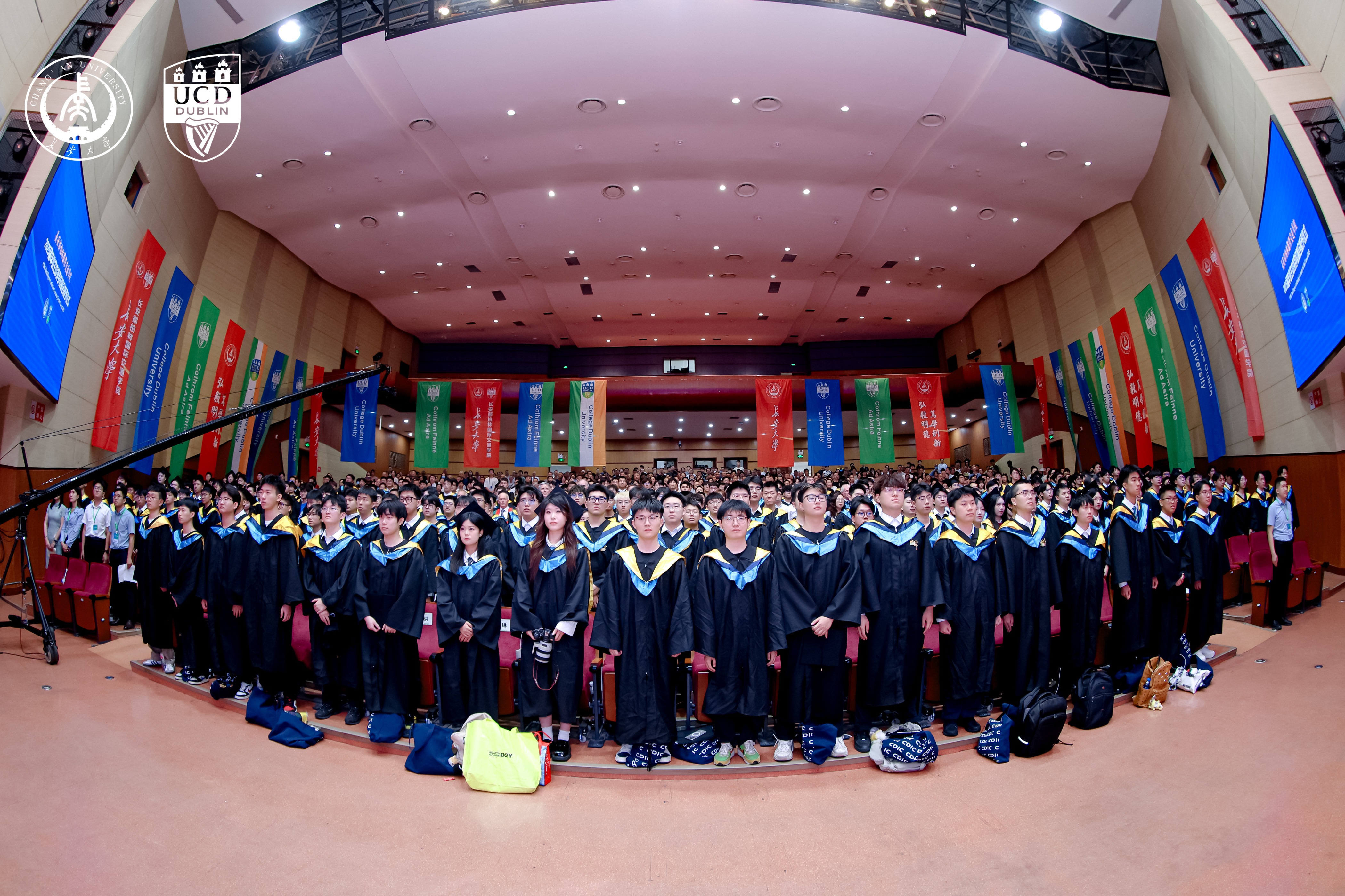 All Graduates