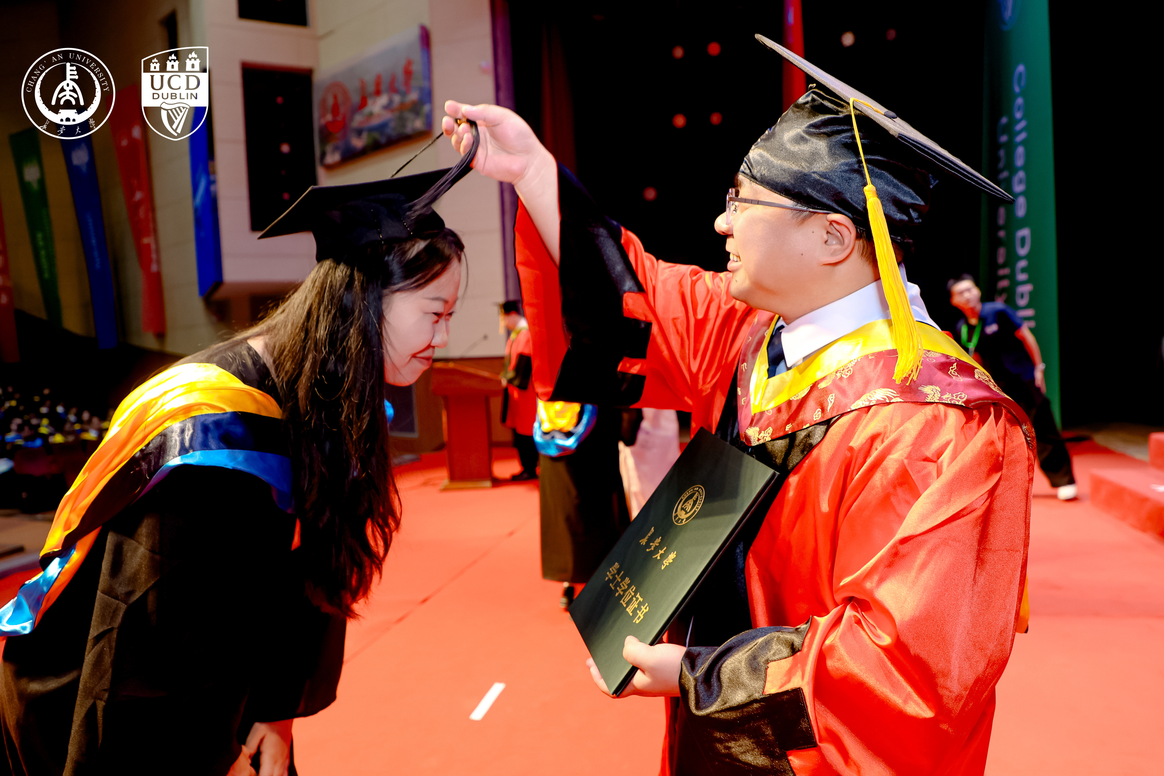 Prof Zhang