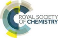 Logo of Royal Society of Chemistry