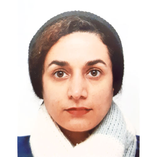 Parisa Naieji Research Engineer