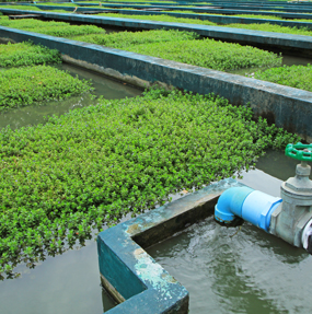 Dooge Centre for Water Resources Research (CWRR) 