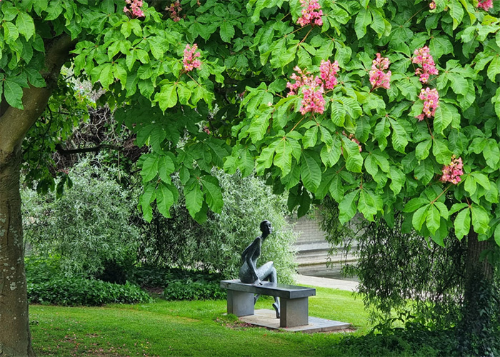 View of sculpture through the tress