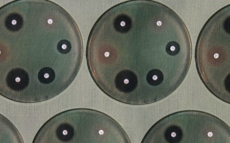Circles on circular plates