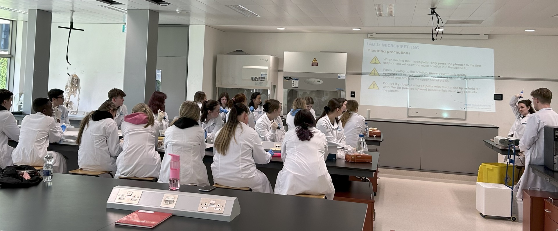 Pupils in laboratory