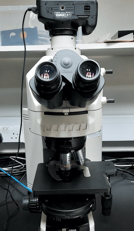 Transmitted light microscope [Orina]