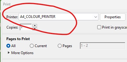 Image highlighting the colour printer option for printing theses.