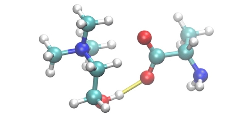 BioPhysics