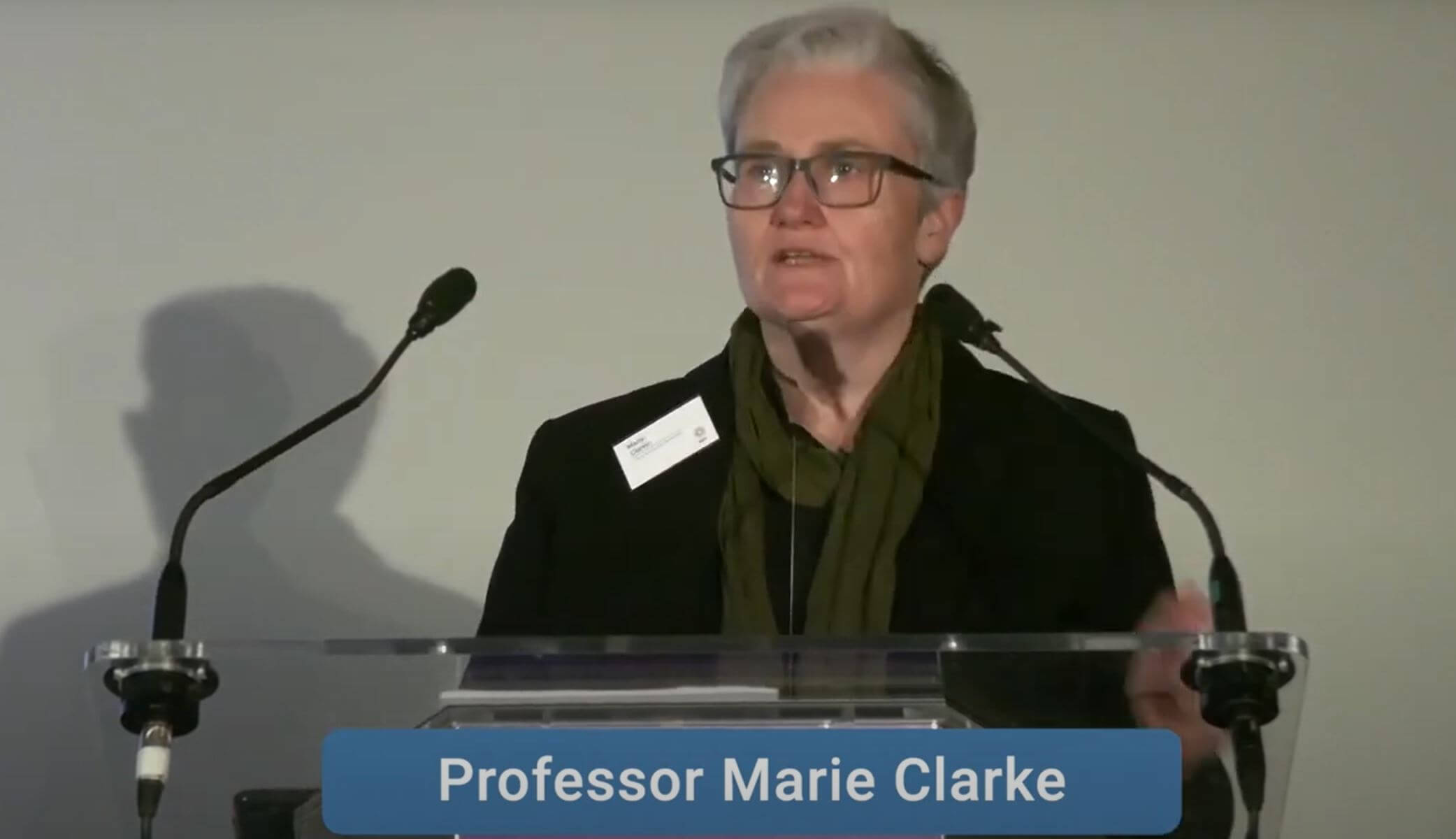 Full Professor Marie Clarke giving a talk at QQI