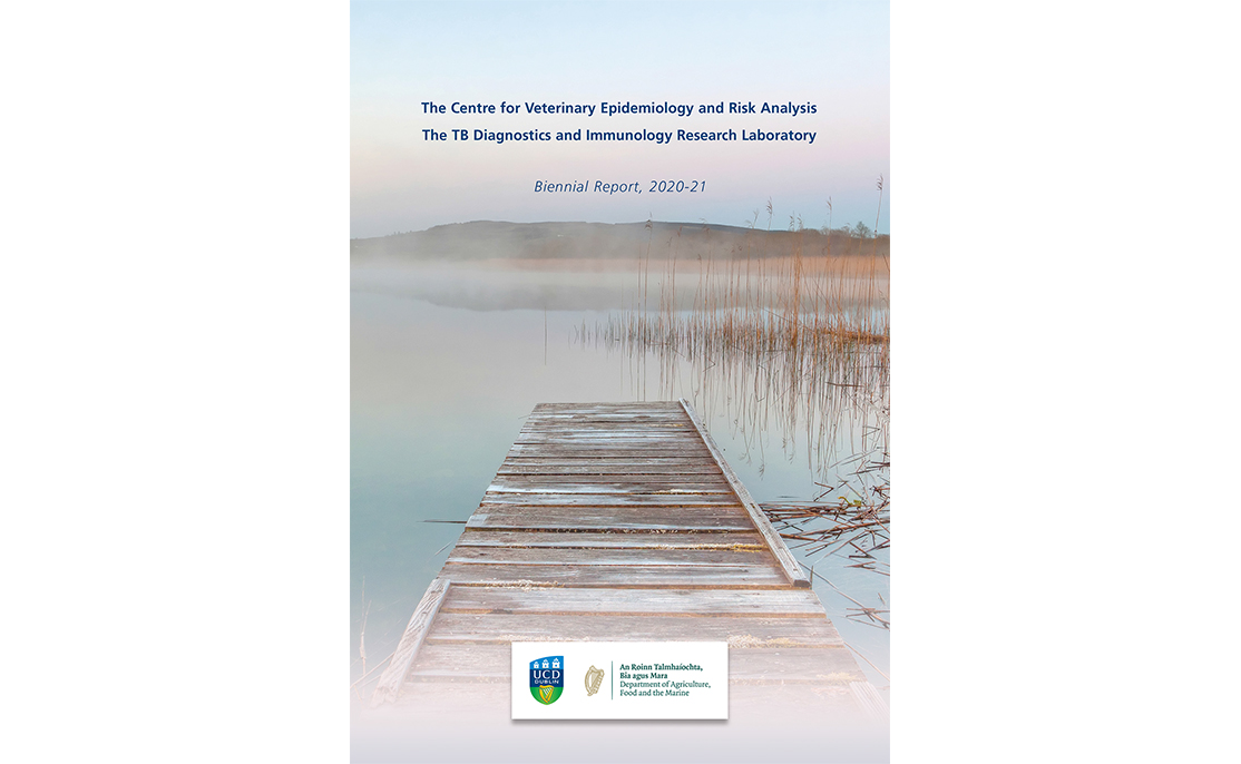 UCD CVERA has produced and contributed to a number of reports over the years. Details of these reports can be found here.
