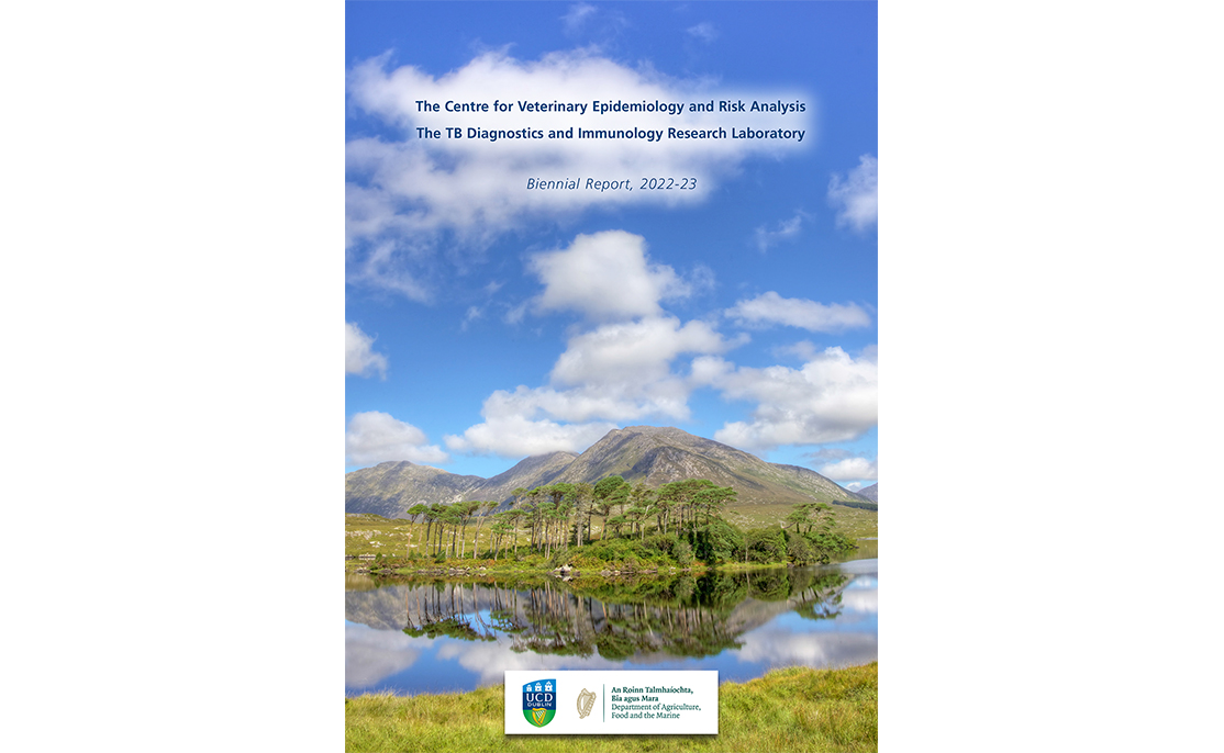 UCD CVERA has produced and contributed to a number of reports over the years. Details of these reports can be found here.