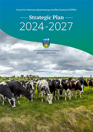 Download the UCD CVERA Strategic Plan 2024-2027