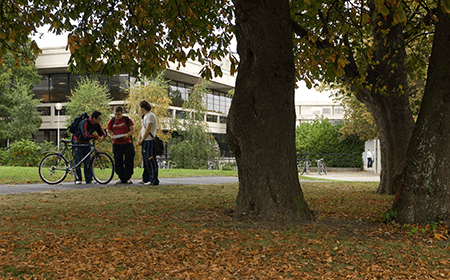 Students on the UCD Campus