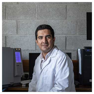 Dr Mohammad Reza Ghaani