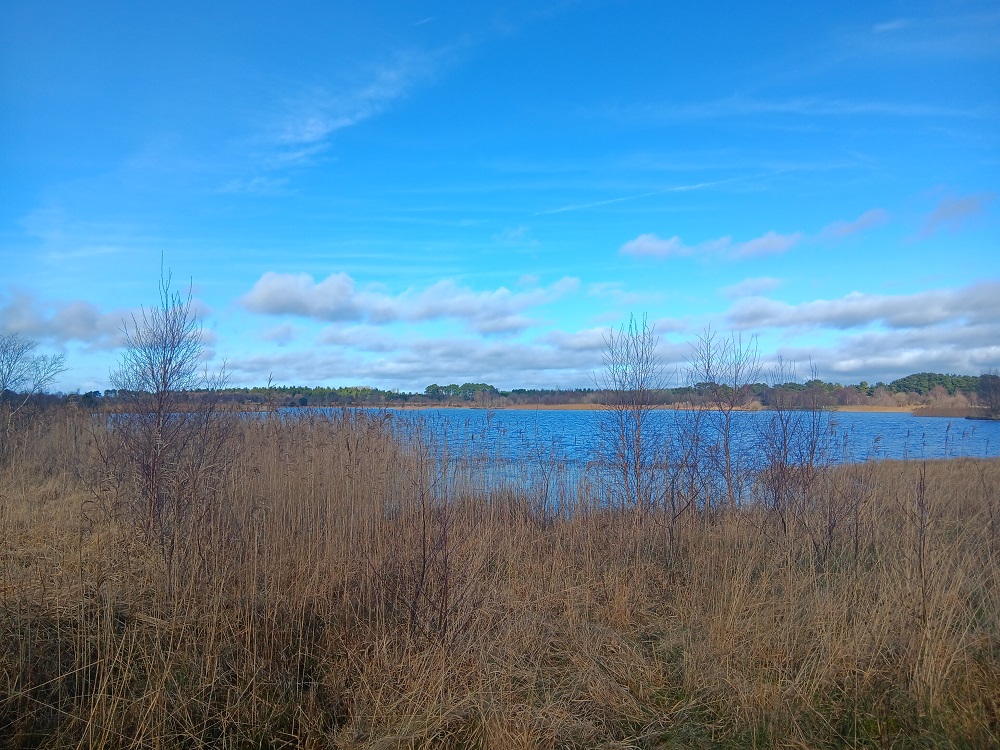 Water theme meeting 2026