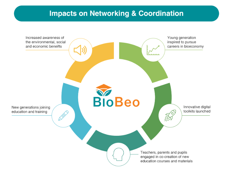 BioBeo Infographic Networking and Coordination