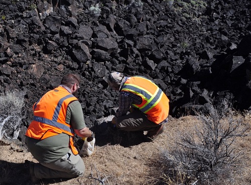 Two scientists kneel on the ground wearing highvis and looking and lava rocks