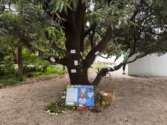 Notes on tree