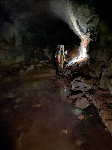Scientists wearing hivis inside a cave shining a light on the rock wall