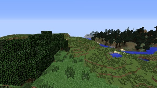 Image from Minecraft grame