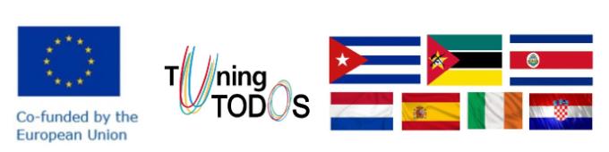 TODOS Project Milestone 4 Report Released, flags, project