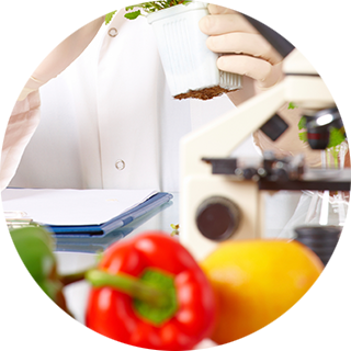 Food Engineering