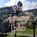 Spring Trimester 2021-2022 Teaching Statement