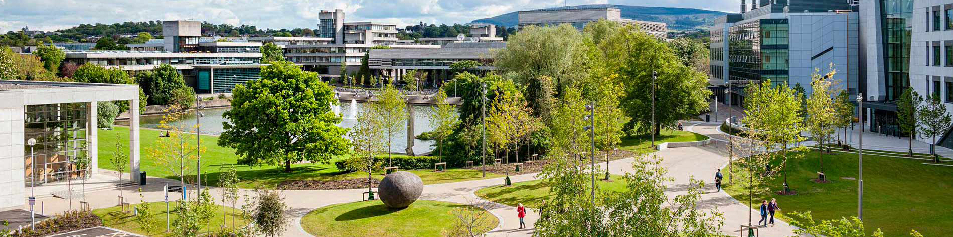 Are you New to UCD? Start Here