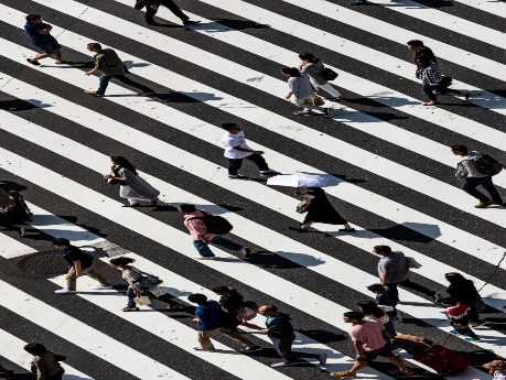 People on a zebra crossing