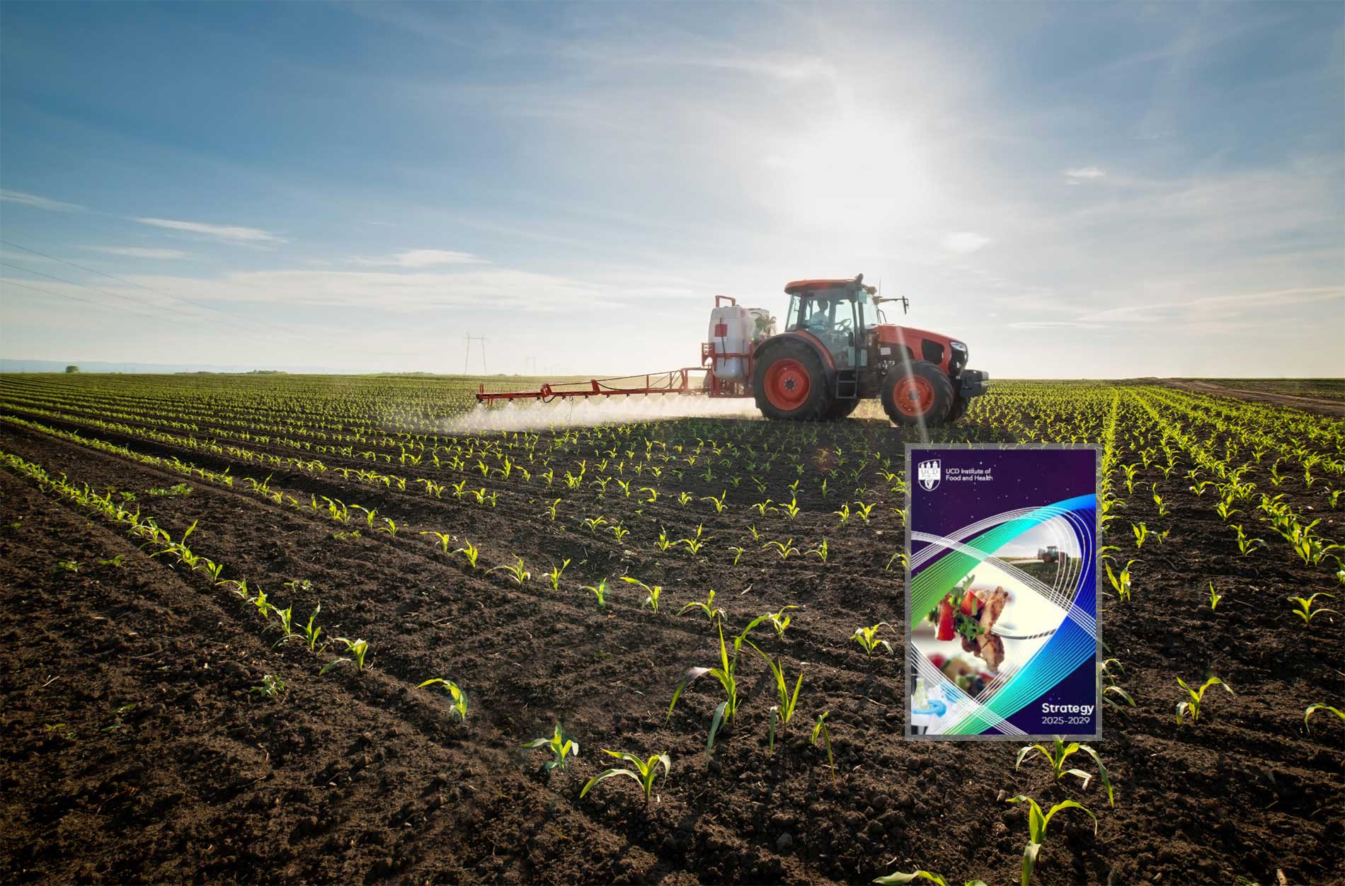 We have set out an ambitious strategy to build on our research excellence and achieve our vision to be a leader in scientific discovery that shapes the future of sustainable, healthy, and safe food systems, supporting people, skills and ideas across. image