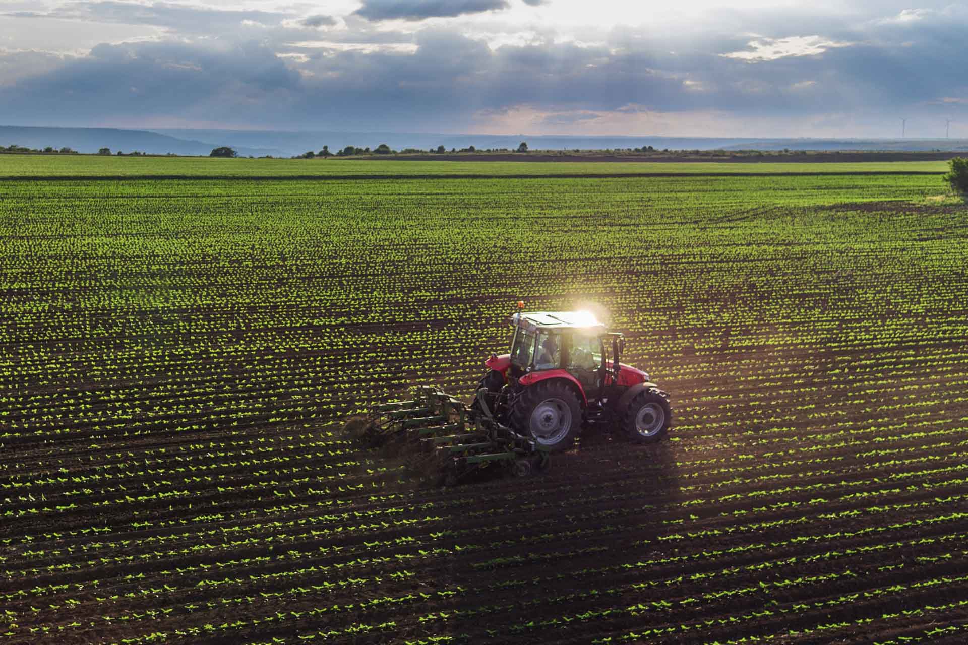 Future-proofing Global Food Systems