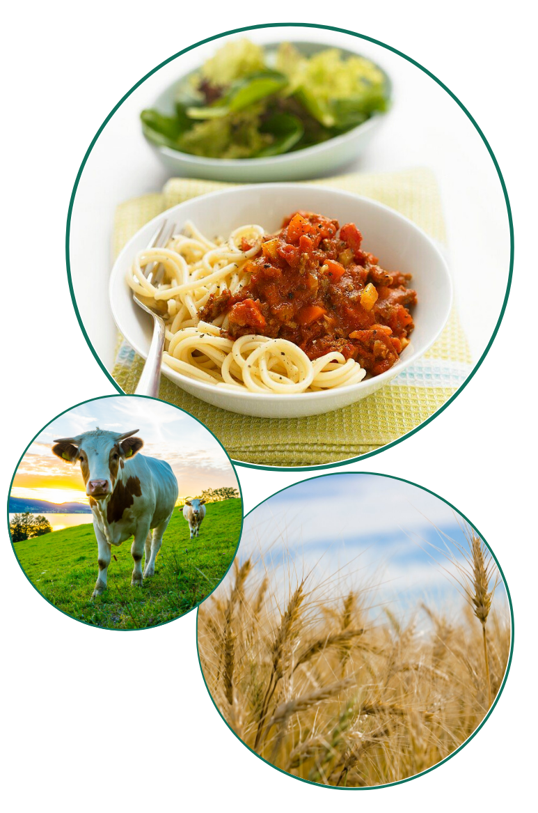 image of bolognese, a cow and wheat