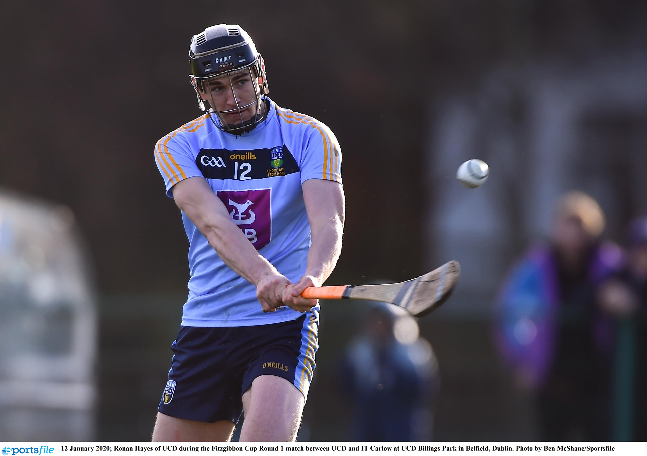 Click Here for more information on the UCD Hurling Club