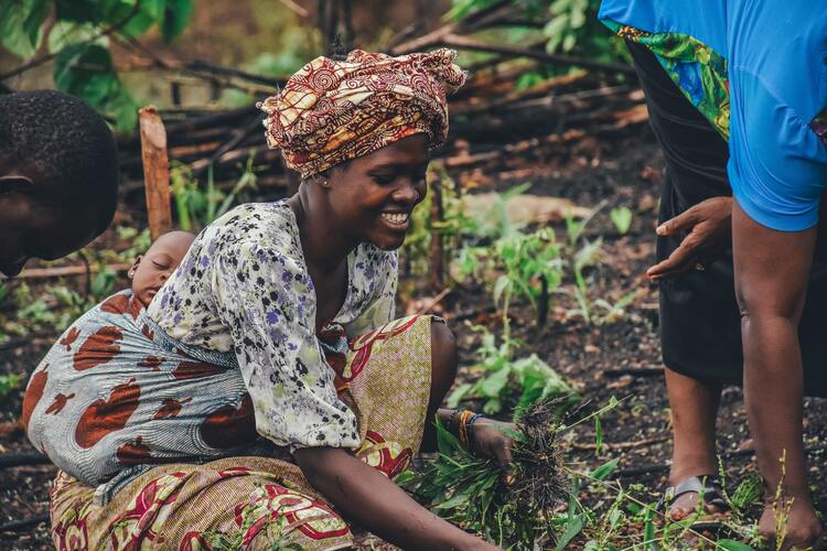 The SYNERGI’ (Socially Inclusive Edible Urban Green Infrastructure) project was launched in Mozambique