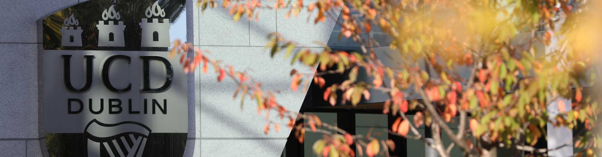 The UCD sign on the Science building is behind a tree with yellow leaves. The leaves are out of focus.