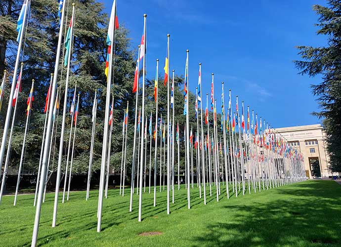 Rows of flagpoles displaying many national flags on a green lawn in front of a large building, symbolizing international cooperation.