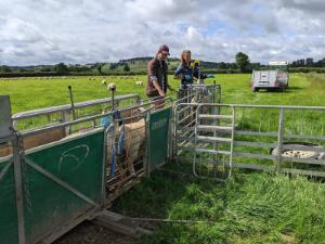 Bia Oliveira and colleague at Lyons Farm