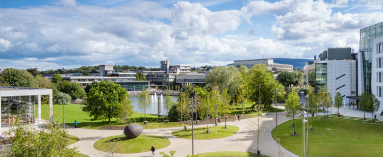 View of UCD lower lake