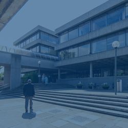 Cultural Policy & Arts Management