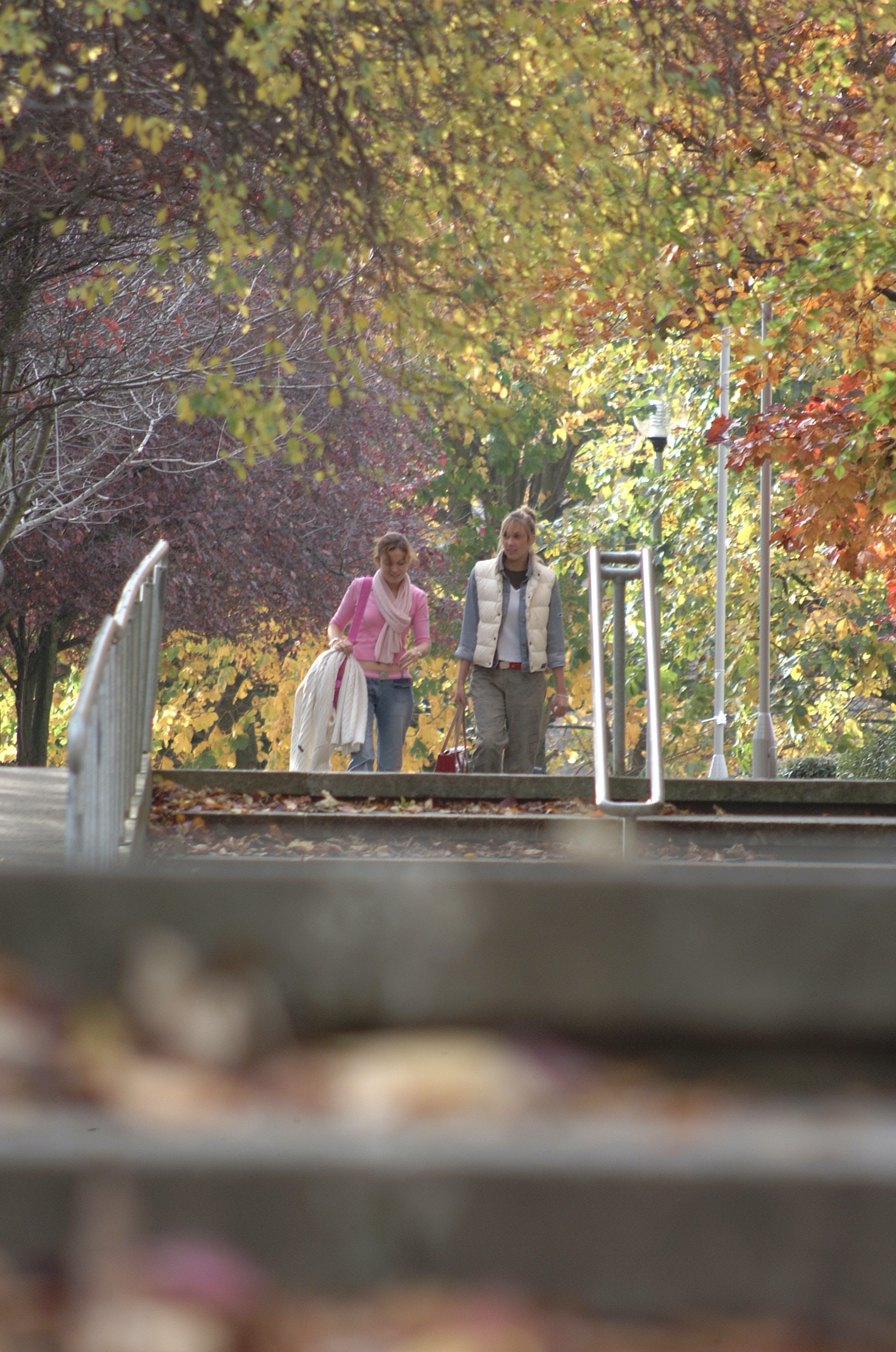Two student walking on UCD campus during autumn time