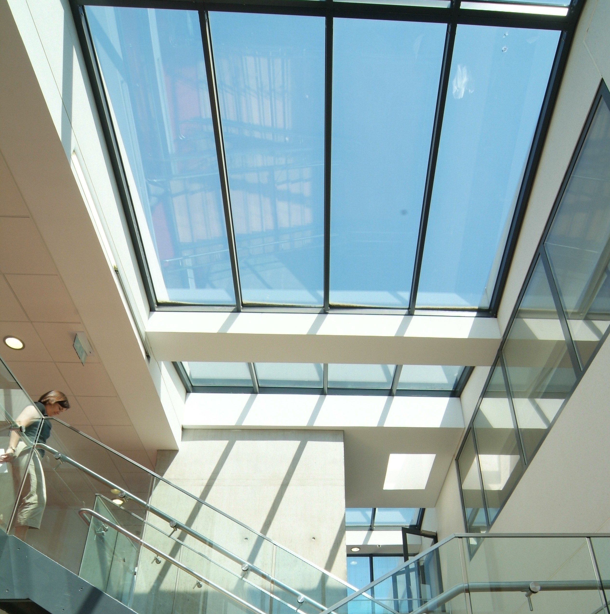 A skylight window at the Health Sciences building