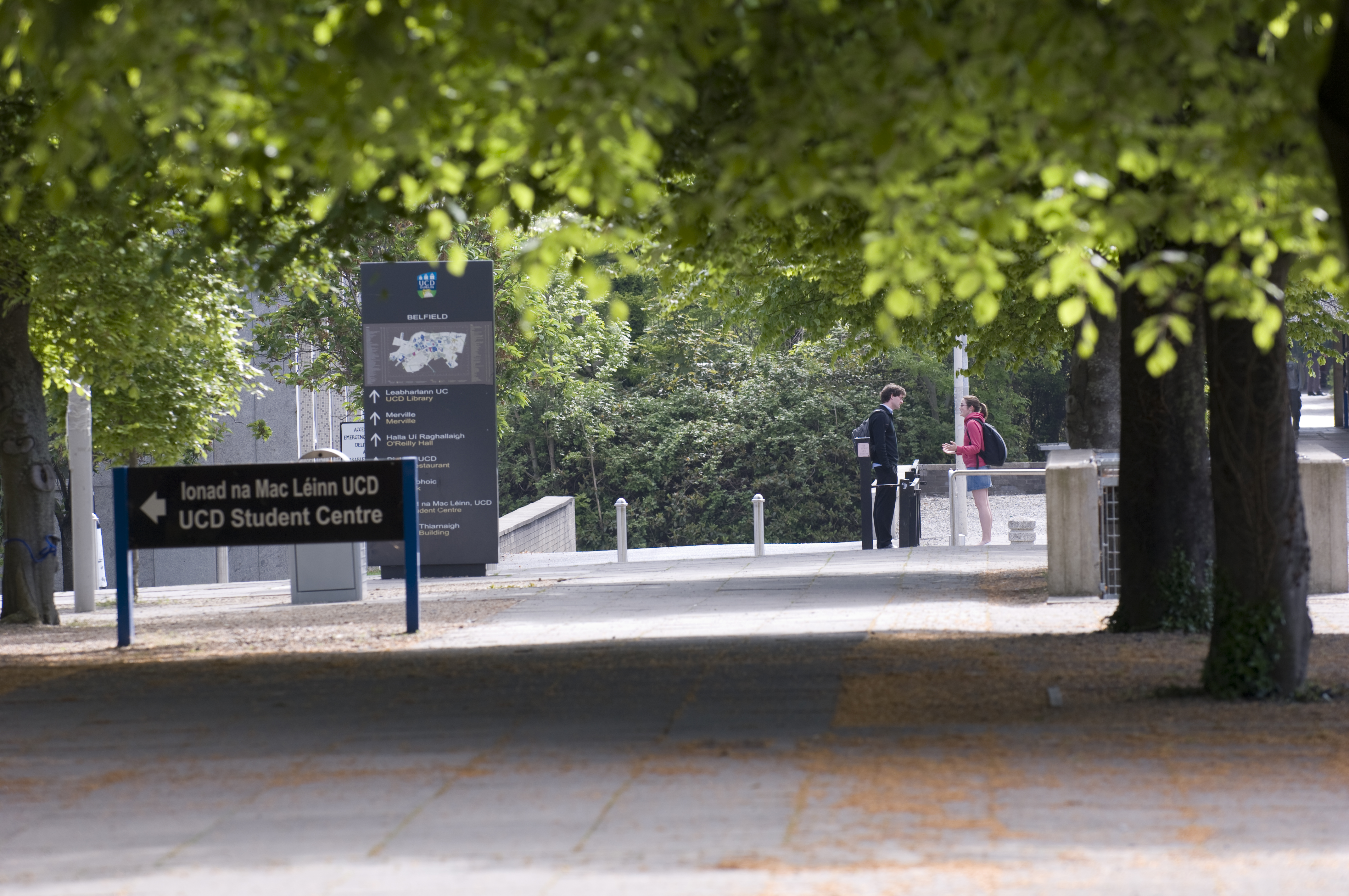 Two students talking on UCD campus