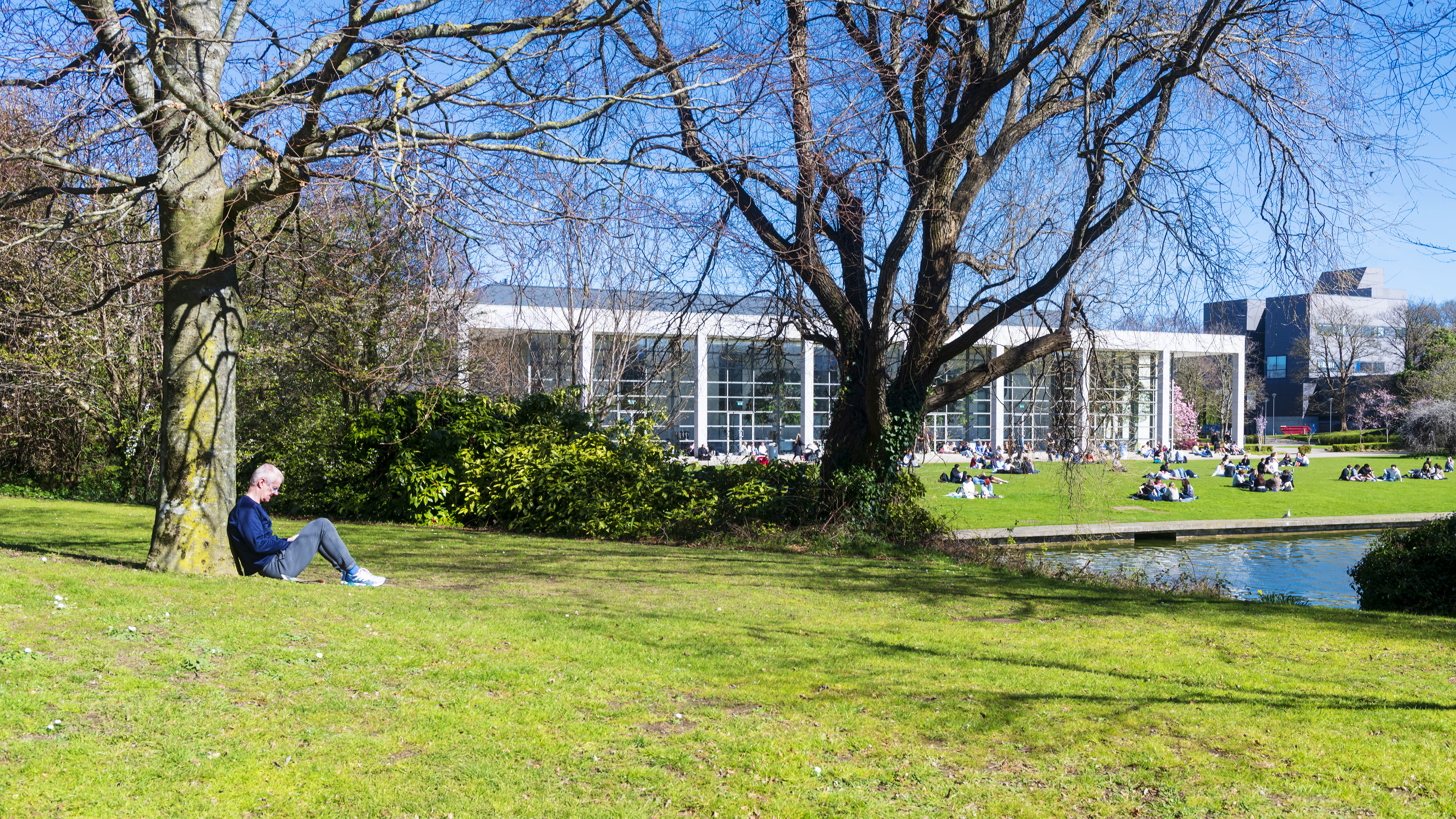 A man sitting under a tree reading with the O'Reilly Hall in the background